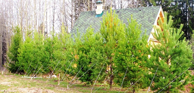 Крупномеры